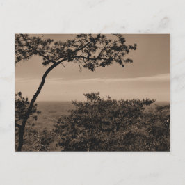 Svart-vit landskapsfotografi postkort vykort