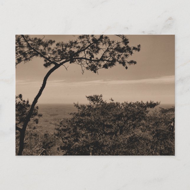 Svart-vit landskapsfotografi postkort vykort (Framsida)