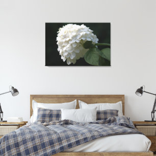Svart vit Lime Hydrangea Flower Canvas