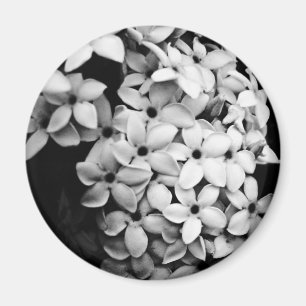 Svart & vit magnet