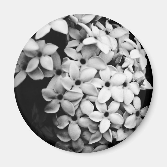 Svart & vit magnet (Framsidan)