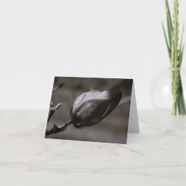 Svart & Vit Magnoliaknopp Minimalistisk Fin Konst Tack Kort