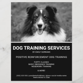 Svart & Vit Shetlandskafferhund Foto Hundtränare Reklamblad