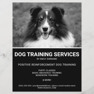 Svart & Vit Shetlandskafferhund Foto Hundtränare Reklamblad