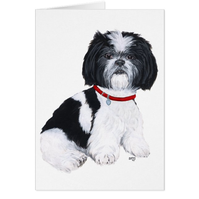 Svart & Vit Shih Tzu Hälsningskort (Framsidan)