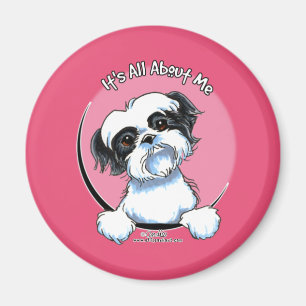 Svart/vit Shih Tzu IAAM Magnet