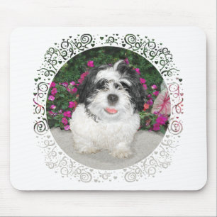 Svart & Vit Shih Tzu Valp Räddnings Hund Musmatta