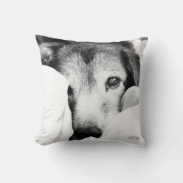 svart vit sömnig hund valp herde kudde