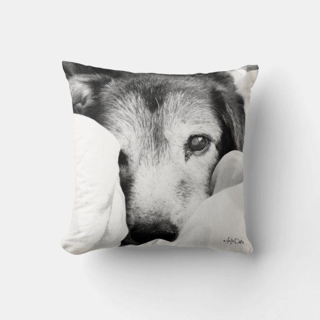 svart vit sömnig hund valp herde kudde (Framsida)
