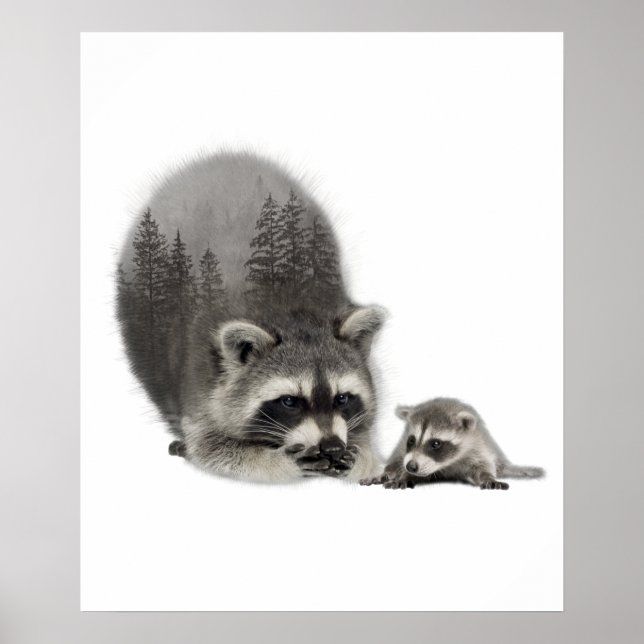 Svart Vit Söt Tvättbjörn med unge Poster (Framsidan)