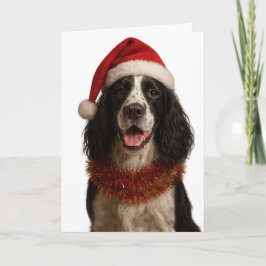 Svart-vit Springer Spaniel julkort Kort