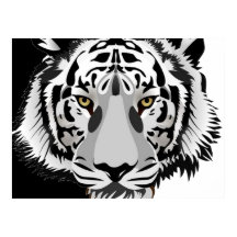 Svart Vit Tiger 