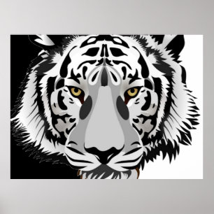Svart Vit Tiger Poster