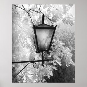 Svart & vit vy av armatur poster