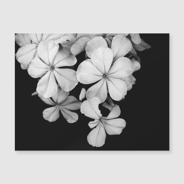 Svart-vit vykortdesign (Framsida)