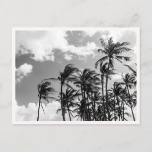 Svart & Vita Palmer i Hawaii Foto Hälsning Vykort