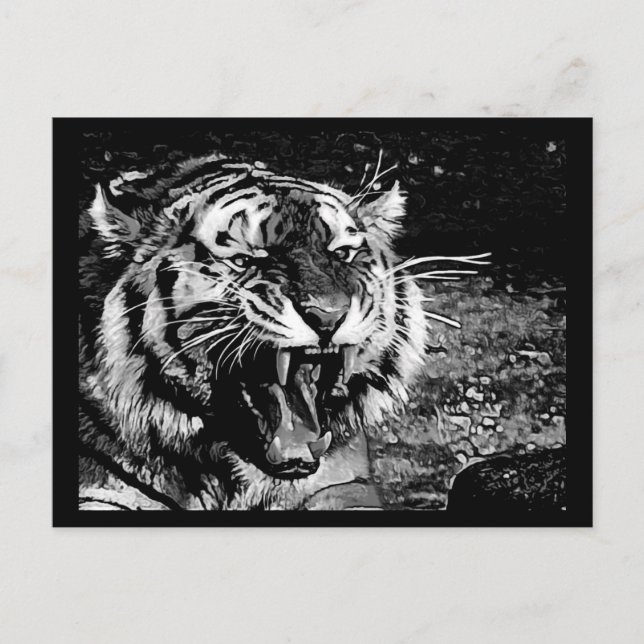 SVART VITE FEROCIOUS TIGER ROARER VILDA DJUR C VYKORT (Framsida)