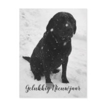 Svart Vitt Foto Gott Nytt År Julkort