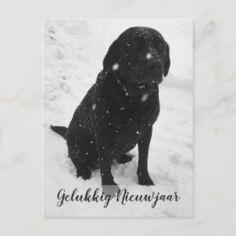 Svart Vitt Foto Gott Nytt År Julkort Vykort