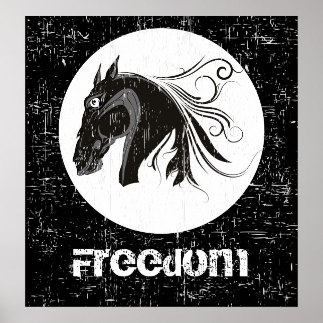 Svart, vitt grunt häst, huvud poster (Framsidan)