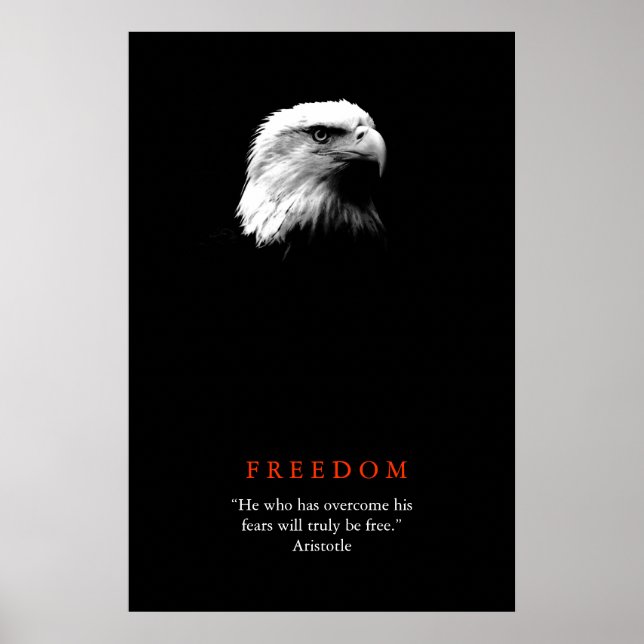 Svart Vitt Motiverande FRIHET Kalahästsaffisch Poster (Framsidan)