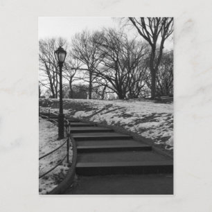 Svart Vitt NY Central Park Vykort