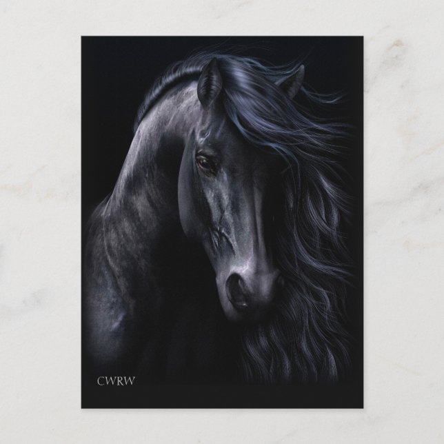 Svart vykort (Framsida)