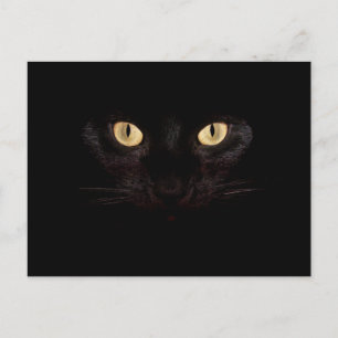 svart vykort för katt