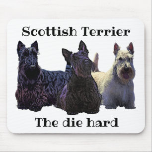 Svart/wheaten trio för skotsk Terrier, svart hund Musmatta