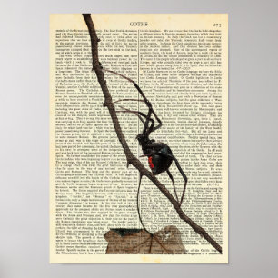 Svart Widow Spider, Gothic, Nature, Arachnophobia Poster