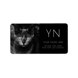 SVARTA ADRESSETIKETTER FÖR KATTFOTOGRAFI
