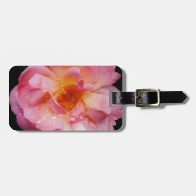 Svarta bakgrunden för rosa ros med nyans/droppe bagagebricka (Horisontell Framsida)