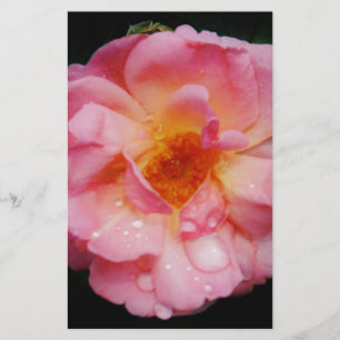 Svarta bakgrunden för rosa ros med nyans/droppe brevpapper