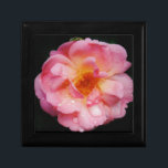 Svarta bakgrunden för rosa ros med nyans/droppe minnesask<br><div class="desc">Rosa ros med regndropparna Black Background Sprider naturens skönhet vid alla särskilda tillfällen med detta populära Rosa ros, Perfekt för bröllop förlovningar, brudens sida, födelsedagar, årsdagar, trädgårdsprodukter, party Lägg till produkttext. Allt är fullt anpassade. Om du vill lägga till eller ändra texten, inklusive ändringar i teckensnittet, teckensnittet färg, teckensnittet storlekt...</div>