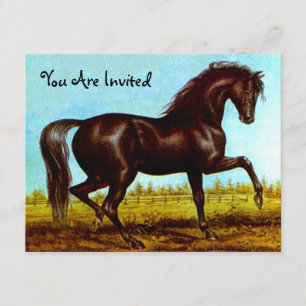 Svarta Beauty Horse Party-inbjudningar oavsett Til Inbjudningar