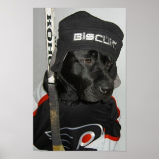 Svarta biscuiters Poster