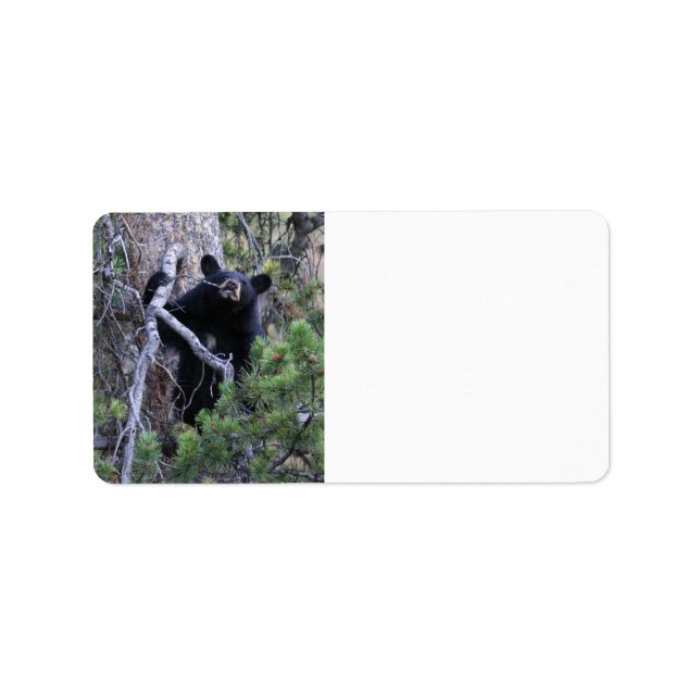 svarta björn unge adressetikett (Framsidan)