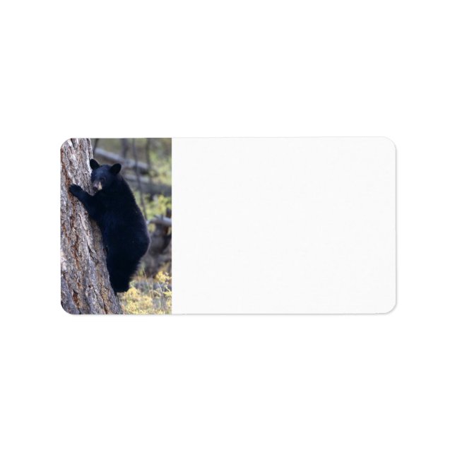 svarta björn unge adressetikett (Framsidan)