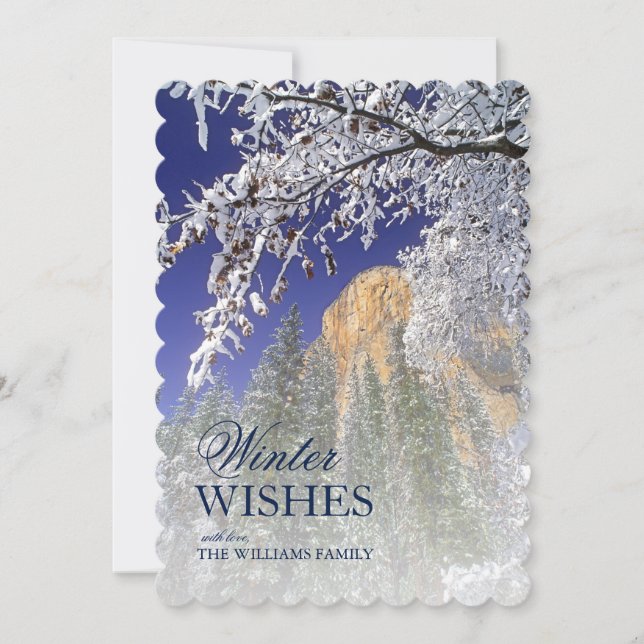 Svarta ekar i snö vid Yosemite (Framsida)