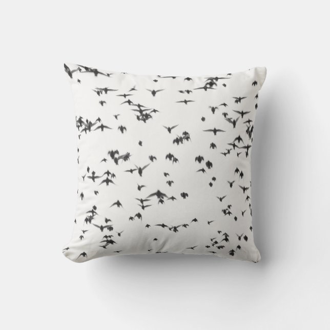 SVARTA FÅGLAR SOM FLYGER PÅ HIMLAR KUDDE (Framsida)