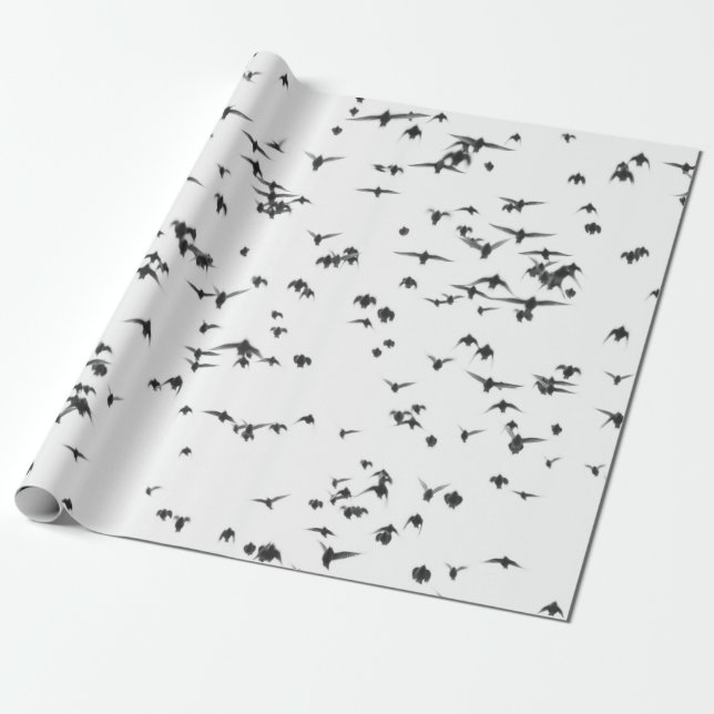 SVARTA FÅGLAR SOM FLYGER PÅ HIMLAR PRESENTPAPPER (Utrullad)