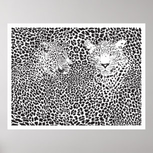 Svarta fläckar Leopards Camouflaged Poster