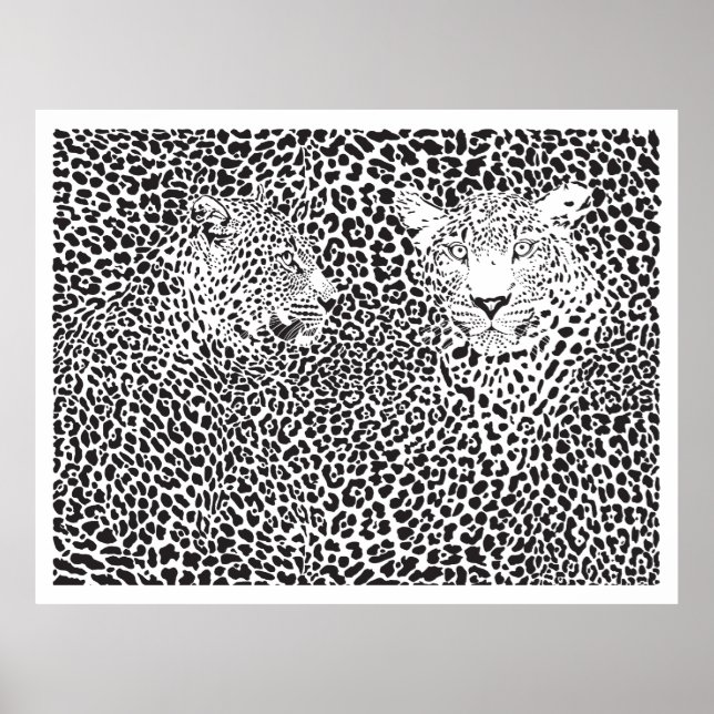 Svarta fläckar Leopards Camouflaged Poster (Framsidan)