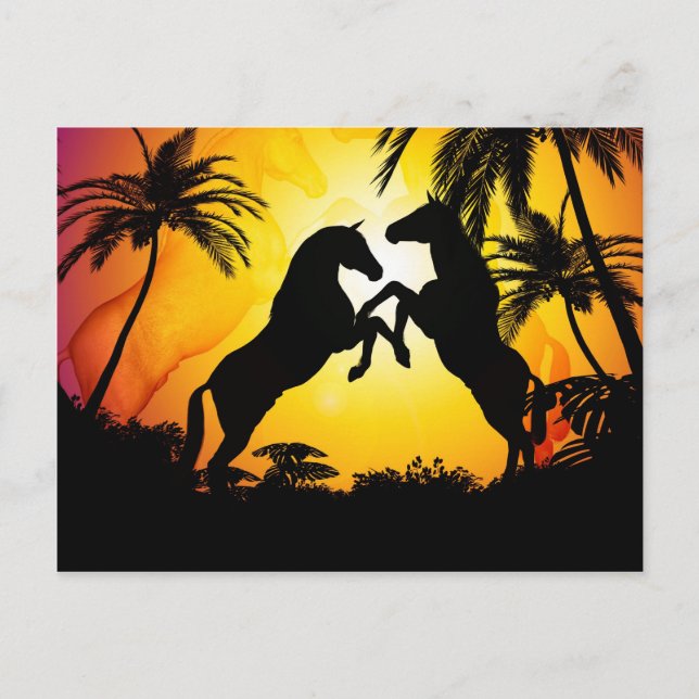 Svarta hästar vykort (Framsida)