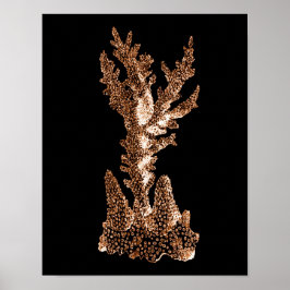 Svarta havsstranden i korallkusten poster