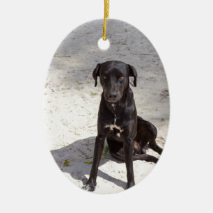 Svarta hund med det onda öga julgransprydnad keramik