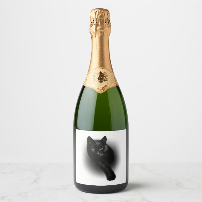 Svarta Katt Fejlning Spik (Framsida)