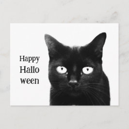 Svarta Katten Halloween Vykort