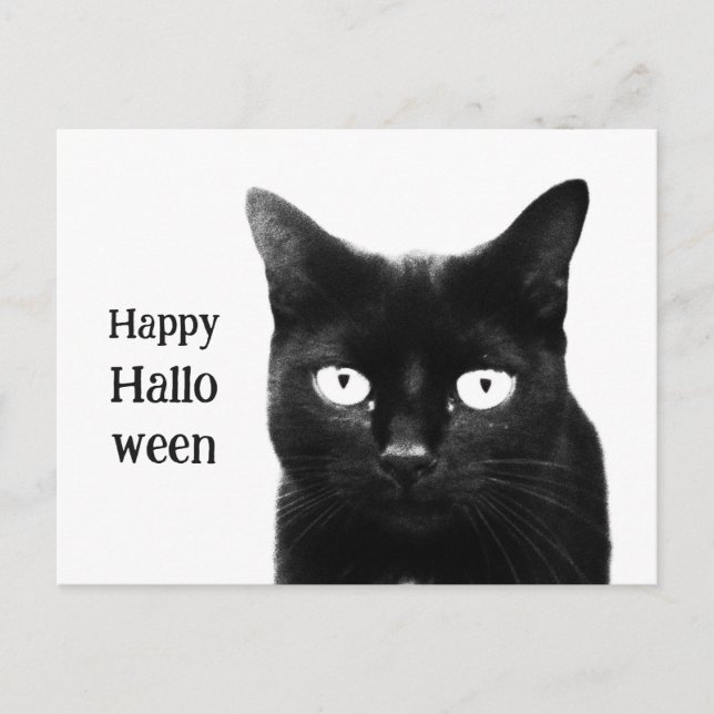 Svarta Katten Halloween Vykort (Framsida)
