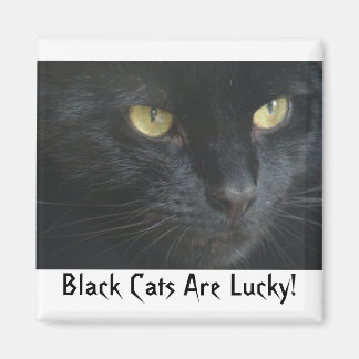 Svarta katter är lyckligt! Magnet